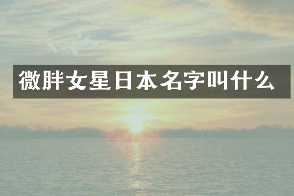 微胖女星日本名字叫什么