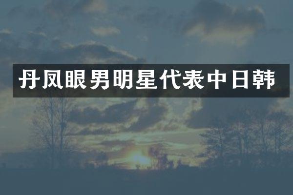 丹凤眼男明星代表中日韩