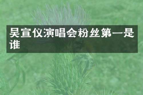 吴宣仪演唱会粉丝第一是谁