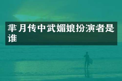 芈月传中武媚娘扮演者是谁