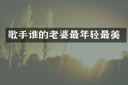 歌手谁的老婆最年轻最美