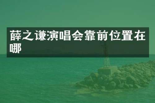 薛之谦演唱会靠前位置在哪