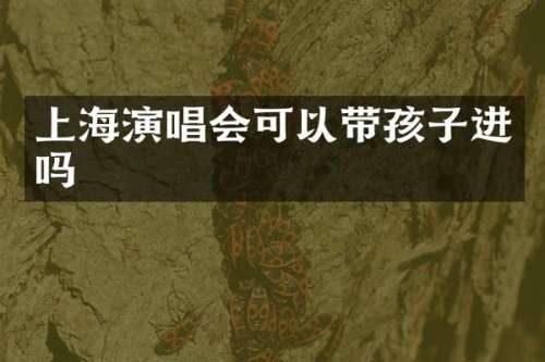 上海演唱会可以带孩子进吗