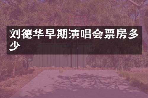 刘德华早期演唱会票房多少