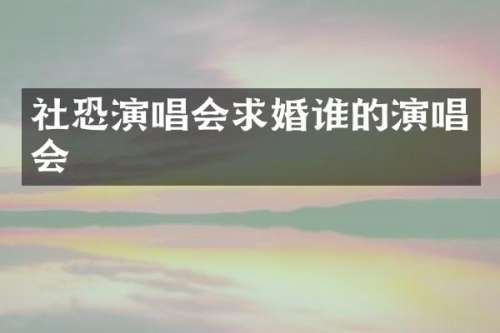社恐演唱会求婚谁的演唱会