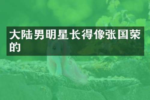 大陆男明星长得像张国荣的