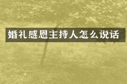 婚礼感恩主持人怎么说话