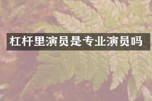 杠杆里演员是专业演员吗