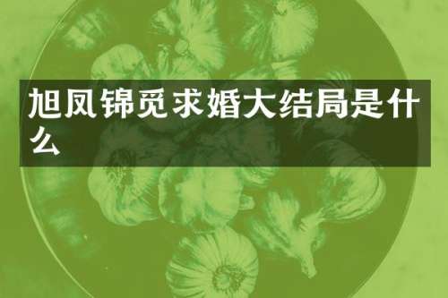旭凤锦觅求婚大结局是什么