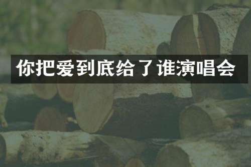 你把爱到底给了谁演唱会