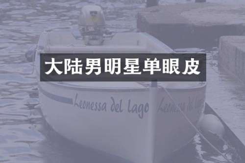大陆男明星单眼皮
