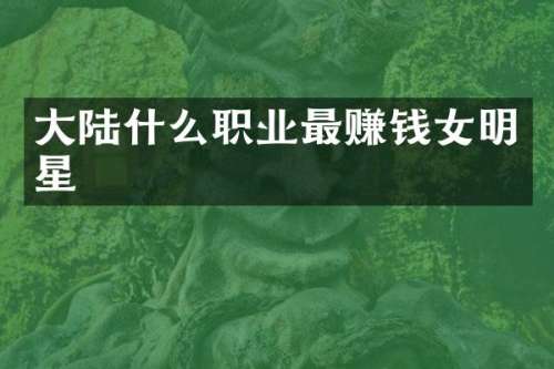 大陆什么职业最赚钱女明星