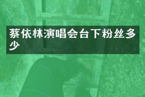 蔡依林演唱会台下粉丝多少