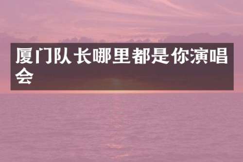厦门队长哪里都是你演唱会