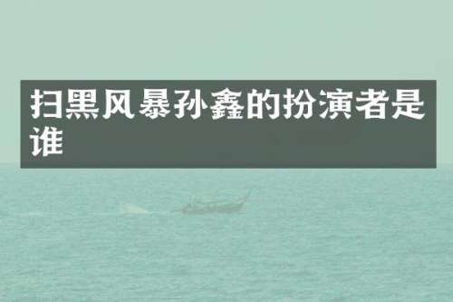 扫黑风暴孙鑫的扮演者是谁