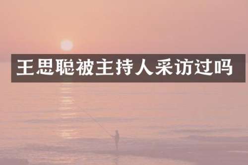 王思聪被主持人采访过吗