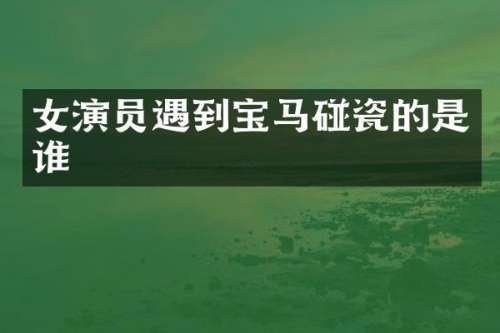 女演员遇到宝马碰瓷的是谁