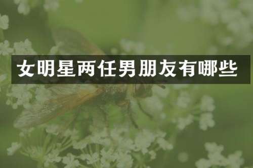 女明星两任男朋友有哪些