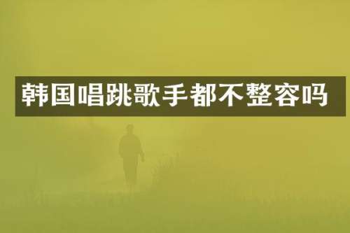 韩国唱跳歌手都不整容吗
