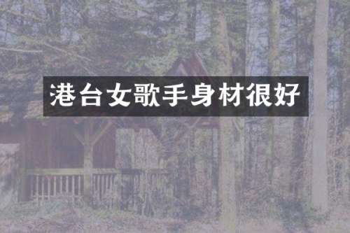 港台女歌手身材很好