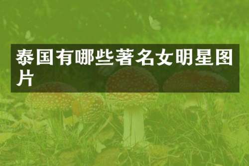 泰国有哪些著名女明星图片