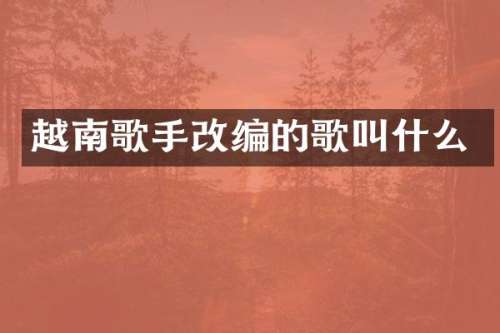 越南歌手改编的歌叫什么