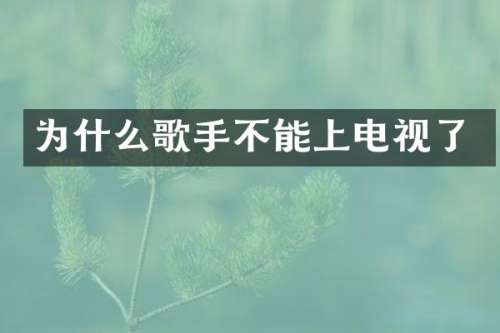 为什么歌手不能上电视了