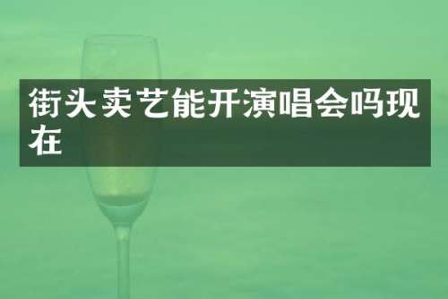 街头卖艺能开演唱会吗现在