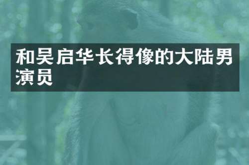 和吴启华长得像的大陆男演员