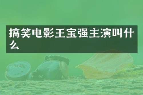 搞笑电影王宝强主演叫什么