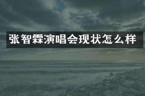 张智霖演唱会现状怎么样