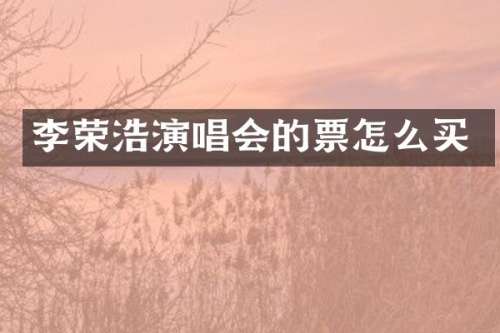 李荣浩演唱会的票怎么买