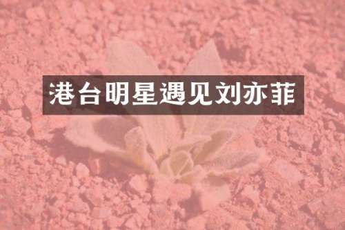 港台明星遇见刘亦菲