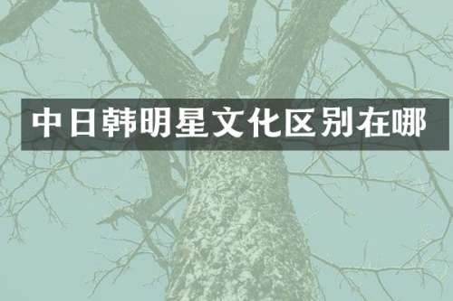 中日韩明星文化区别在哪
