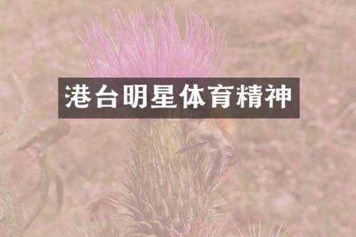 港台明星体育精神