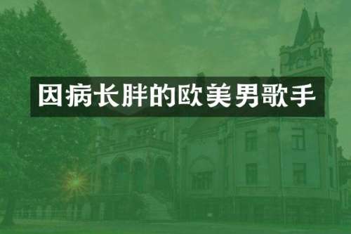 因病长胖的欧美男歌手