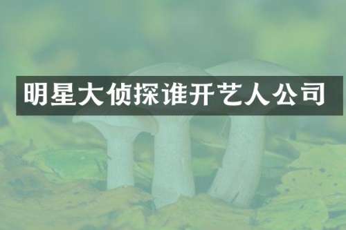 明星大侦探谁开艺人公司