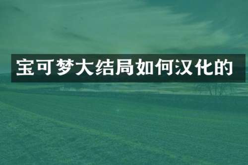 宝可梦大结局如何汉化的