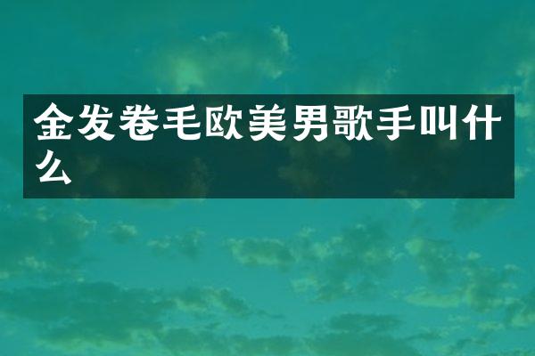 金发卷毛欧美男歌手叫什么