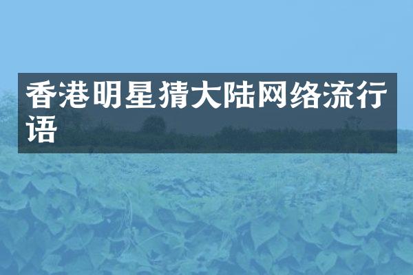 香港明星猜大陆网络流行语