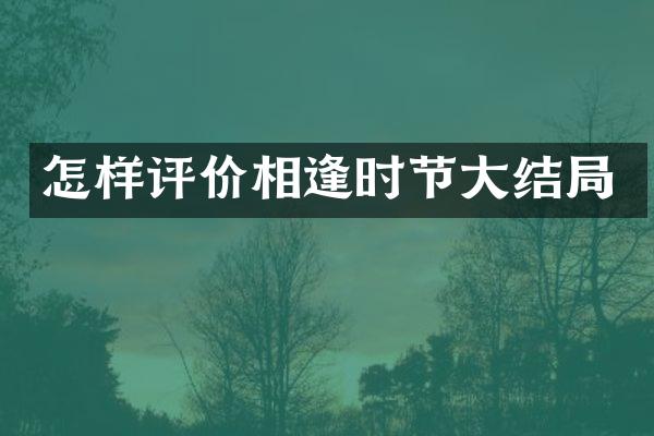 怎样评价相逢时节大结局