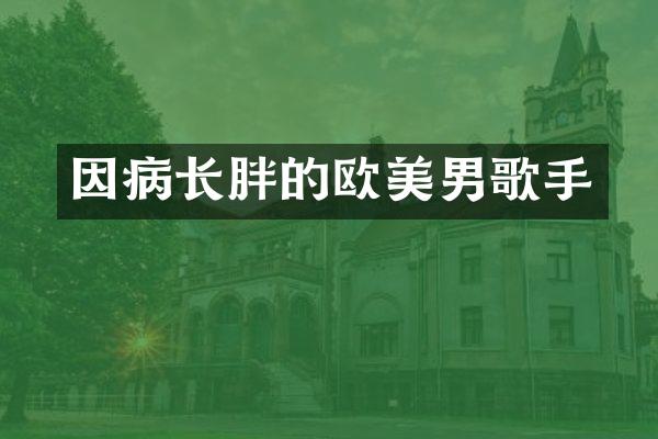因病长胖的欧美男歌手
