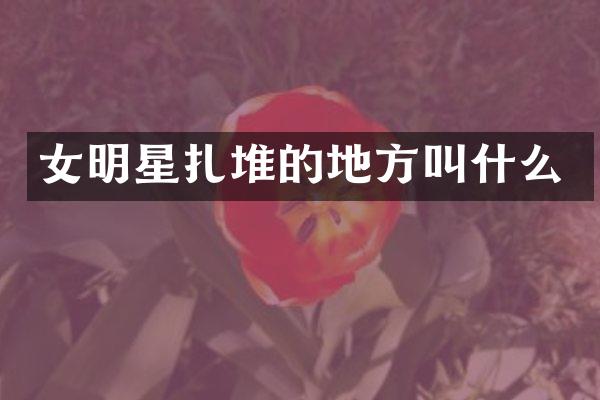 女明星扎堆的地方叫什么