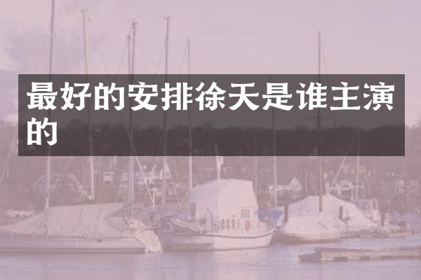 最好的安排徐天是谁主演的