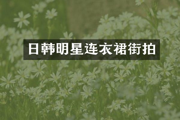 日韩明星连衣裙街拍