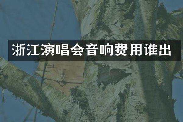 浙江演唱会音响费用谁出