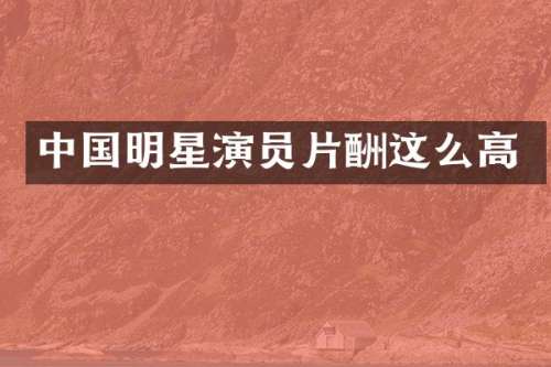 中国明星演员片酬这么高