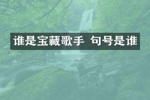 谁是宝藏歌手 句号是谁