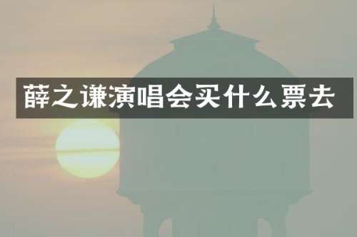 薛之谦演唱会票去