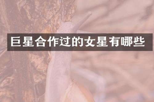 巨星合作过的女星有哪些